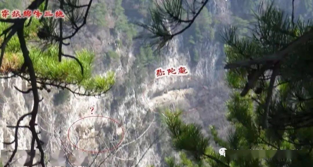 逃离橡子树种植地